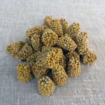 Fertilizers