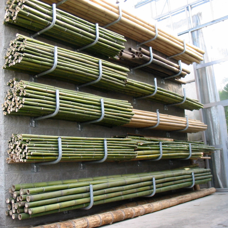 Canna bambù da costruzione verde ø 4-5 cm-L.200 cm - Acquista online su  Vivaibambù Store