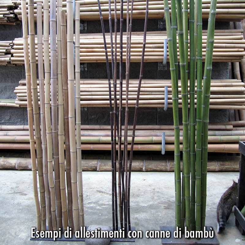 Canne di Bambu' h.210cm 18/20 mm 10 Pezzi