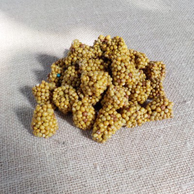 Concime a lenta cessione in tablet - n° 30 Pastiglie Concime a lenta cessione in tablet - n° 30 Pastiglie