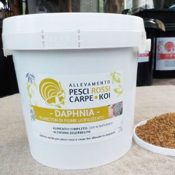 Mangime Dafnia - Dafnia liofilizzata - 3lt/550 gr