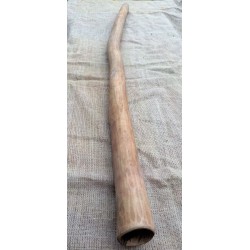 Didgeridoo - Digeridù originale australiano: n° 1