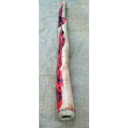 Didgeridoo - Digeridù originale australiano: n° 5