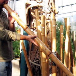 Didgeridoo - Digeridù-bambù