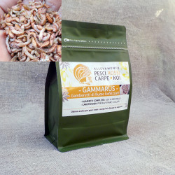 Gammarus natural food - Dried Gammarus - 1 lt/100 gr